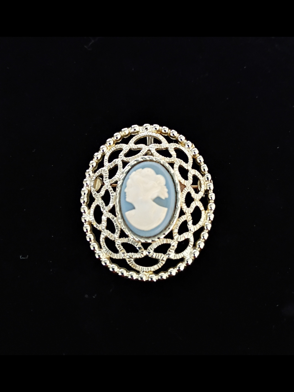 Vintage Sarah Cov Blue Cameo Brooch/Pendant - Classic Women's Jewelry